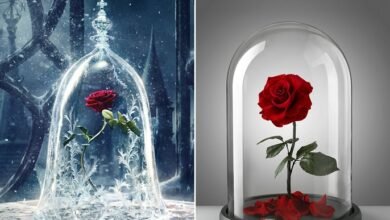 disney original beauty and the beast rose